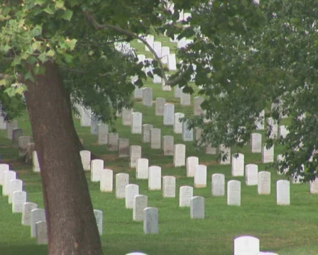 PAL: Arlington Cemetery Stock Footage