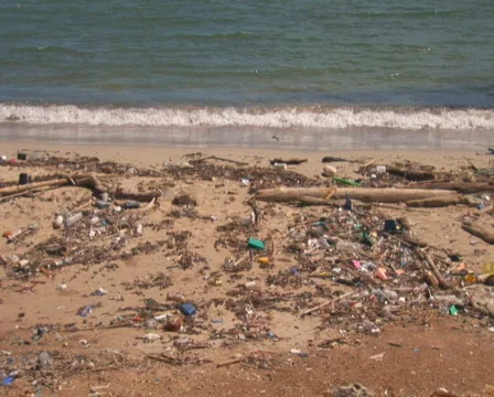 PAL: Beach with pollution Stock Footage 349220
