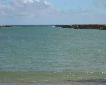 PAL: Beach with pollution Stock Footage 349224