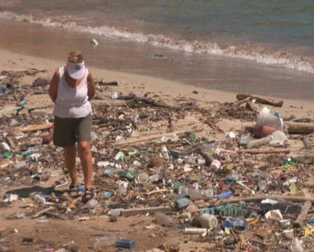 PAL: Beach with pollution Stock Footage 349236