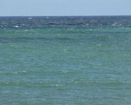 PAL: Beach with pollution Stock Footage 349241