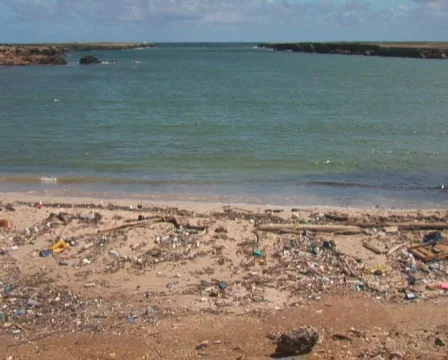 PAL: Beach with pollution Stock Footage 349248