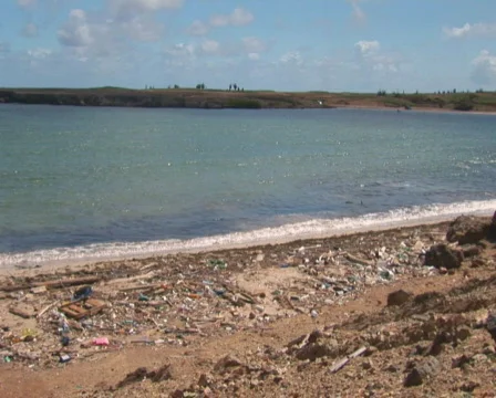 PAL: Beach with pollution Stock Footage 349256