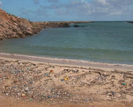 PAL: Beach with pollution Stock Footage 349261
