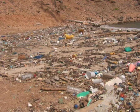 PAL: Beach with pollution Stock Footage 349271