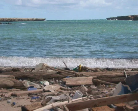 PAL: Beach with pollution Stock Footage 349279