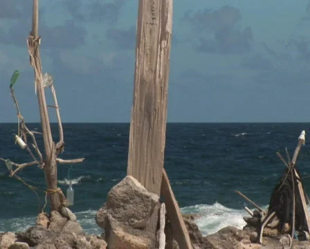 PAL: Beach with pollution Stock Footage 349386