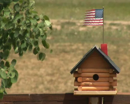 PAL: Bird house Stock Footage 153744