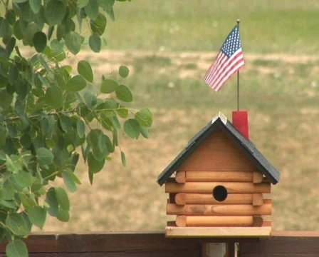 PAL: Bird house Stock Footage 153756