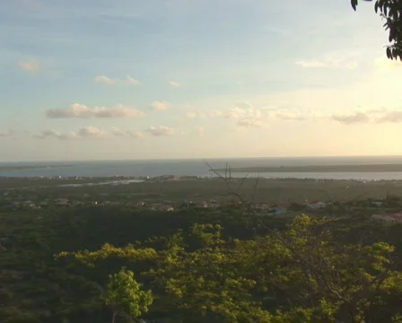 PAL: Bonaire Stock Footage 349205