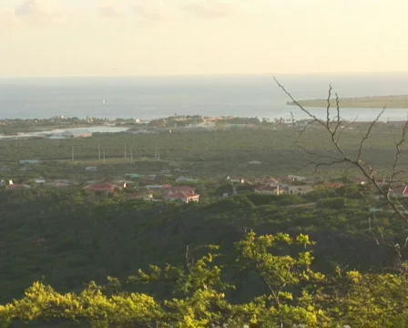 PAL: Bonaire Stock Footage 349210