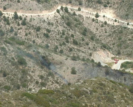 PAL: Brush fire Stock Footage 671006