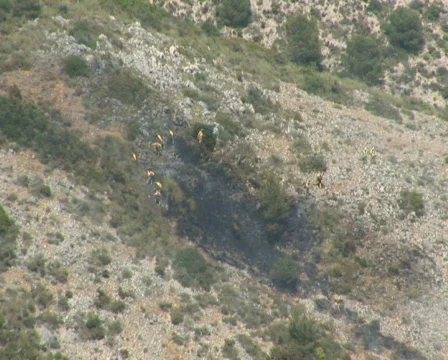 PAL: Brush fire Stock Footage 671026