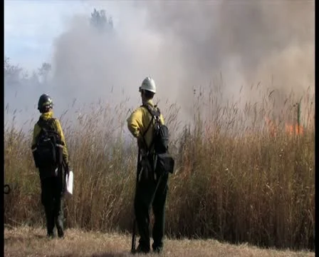 PAL Controlled Burn 23 스톡 동영상 12385274