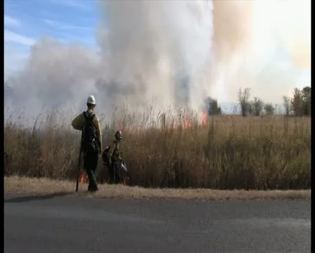 PAL Controlled Burn 24 Stock-Footage 12385293