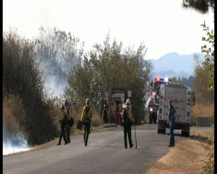 PAL Controlled Burn 32 Stock Footage 12388620