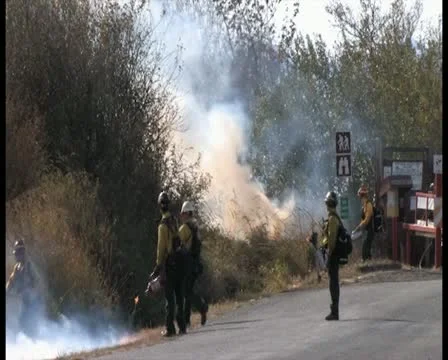 PAL Controlled Burn 33 Stock Footage 12388639