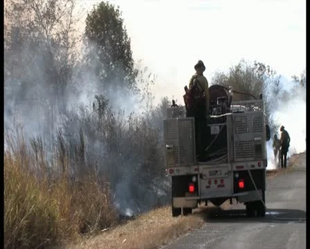 PAL Controlled Burn 36 Stock-Footage 12388657