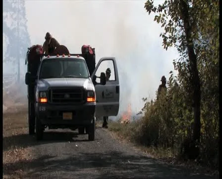 PAL Controlled Burn 8 스톡 동영상 12385364