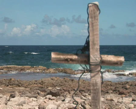 PAL: Driftwood Stock Footage 349395