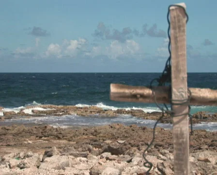 PAL: Driftwood Stock Footage 349396