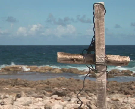 PAL: Driftwood Stock Footage 349397
