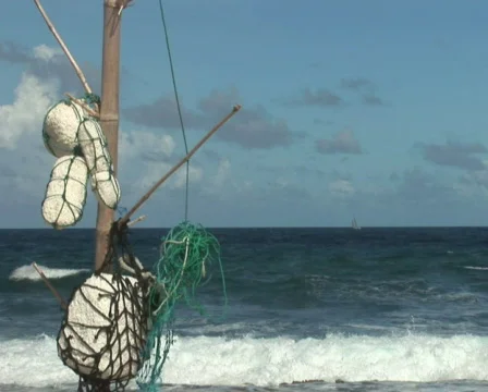 PAL: Driftwood Stock Footage 355582