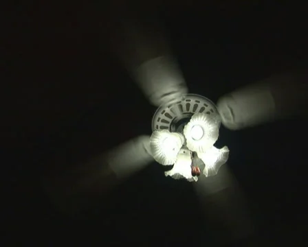 PAL: Fan on black Stock Footage 355787