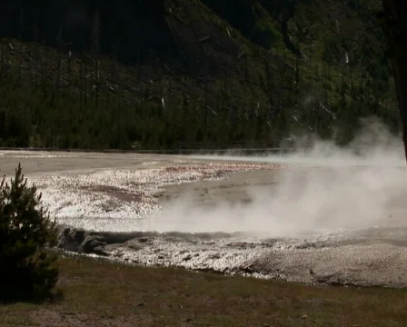 PAL: Geyser Stock Footage 302708