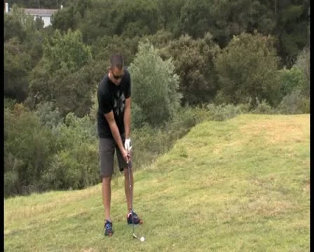 PAL Golfing 33 Stock Footage 11337150