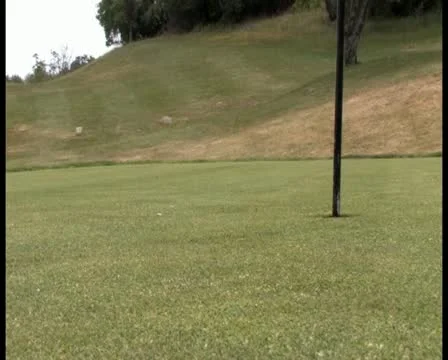 PAL Golfing 43 Stock Footage 11337324