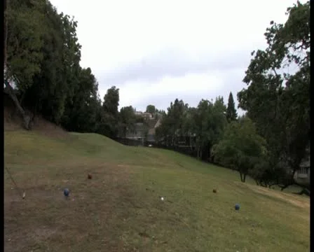 PAL Golfing 49 Stock-Footage 11340453