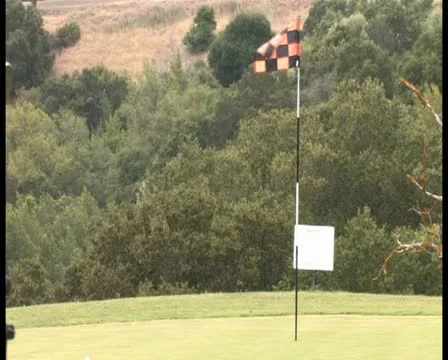 PAL Golfing 66 Stock Footage 11344919