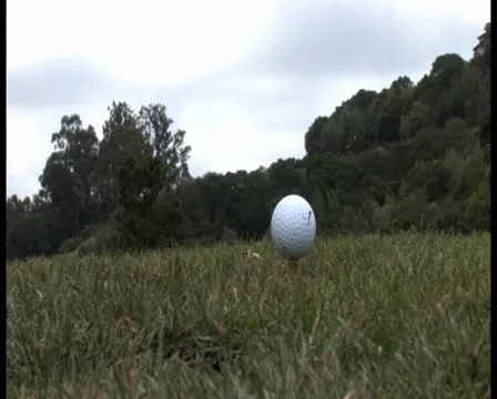 PAL Golfing Stock Footage 11286211