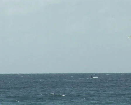 PAL: Kite surfers Stock Footage 355809