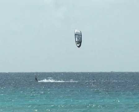 PAL: Kite surfers Stock Footage 355811
