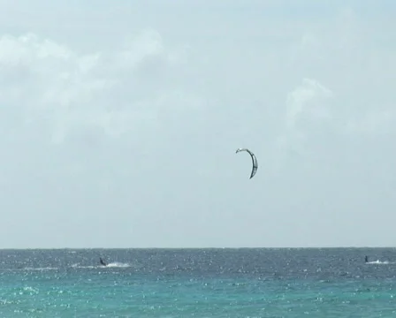 PAL: Kite surfers Stock Footage 355813