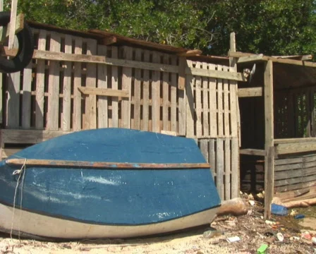 PAL: Old rowboats Stock Footage 349328
