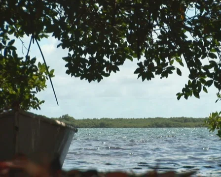 PAL: Old rowboats Stock Footage 349340