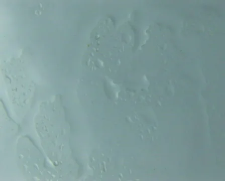 PAL: rain on window Video stock 153679