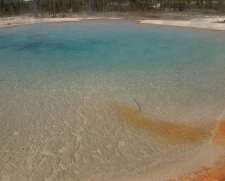 PAL: Rainbow Pool Stock Footage 154158