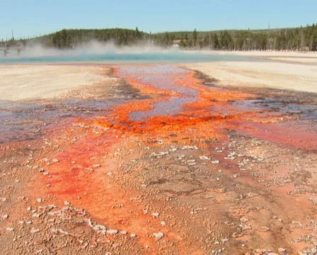 PAL: Rainbow Pool Stock Footage 154165