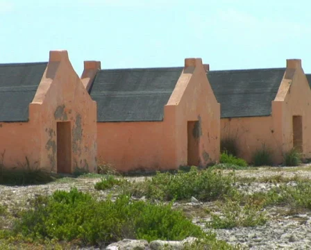PAL: Red Slave Huts Stock Footage 355840