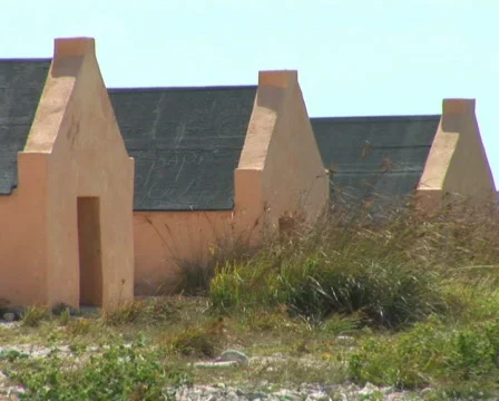 PAL: Red Slave Huts Stock Footage 355842