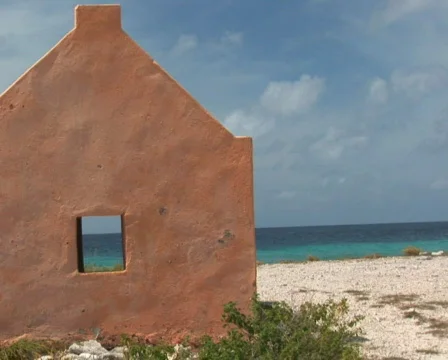 PAL: Red Slave Huts Stock Footage 355888