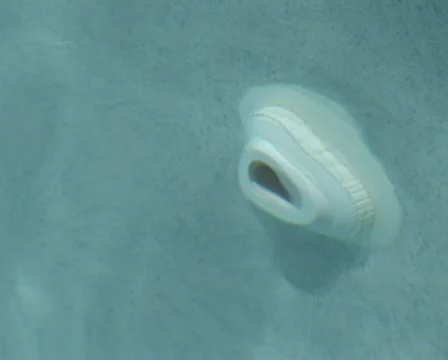 PAL: Residential pool Stock Footage 589680