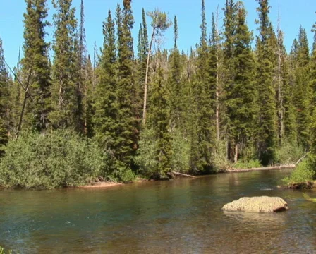 PAL: Rocky Mountains Stock Footage 302779