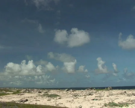 PAL: Rough coast Stock Footage 349368