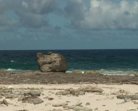 PAL: Rough coast Stock Footage 349369