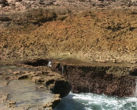 PAL: Rough coast Stock Footage 355703